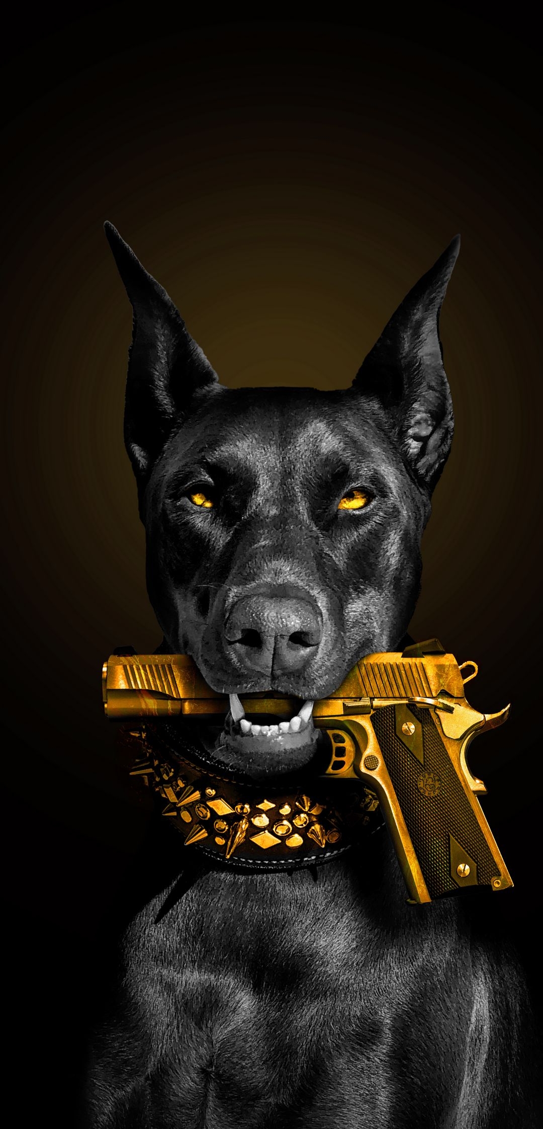 Dog Wildlife Animal HD