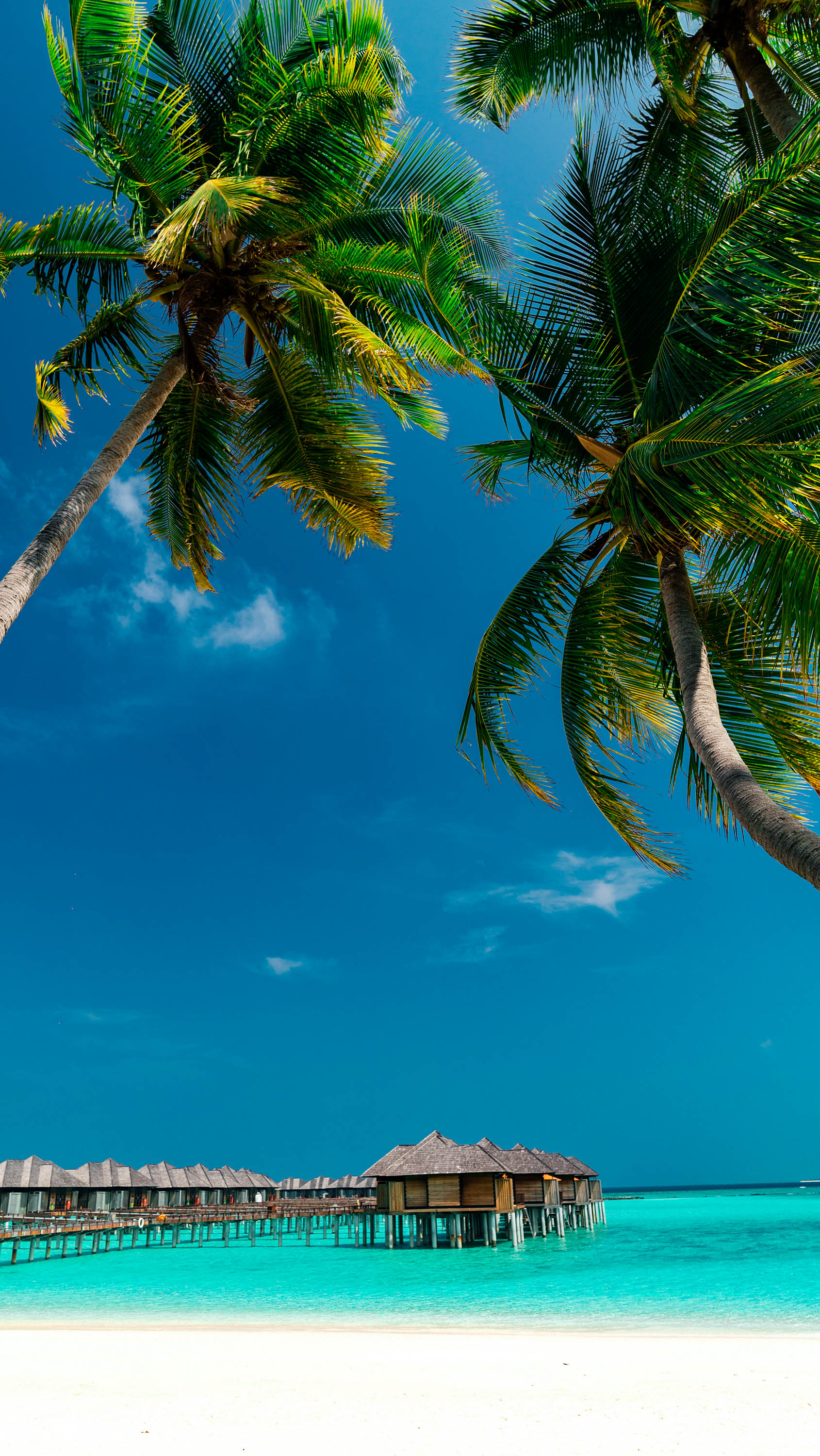 HighDefinitionImage HD Image