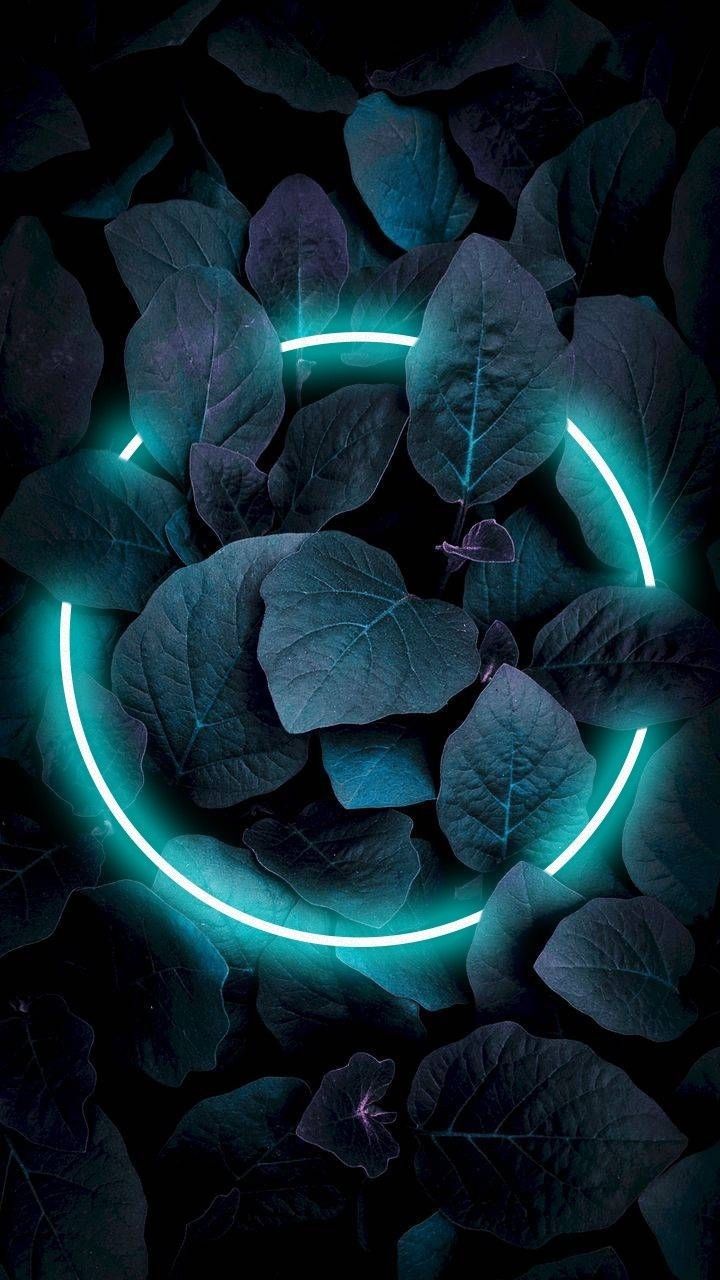 Leaf Nature Natural HD