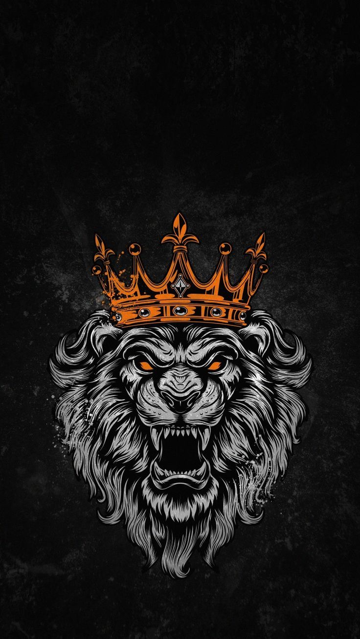 Lion Wildlife Animal HD