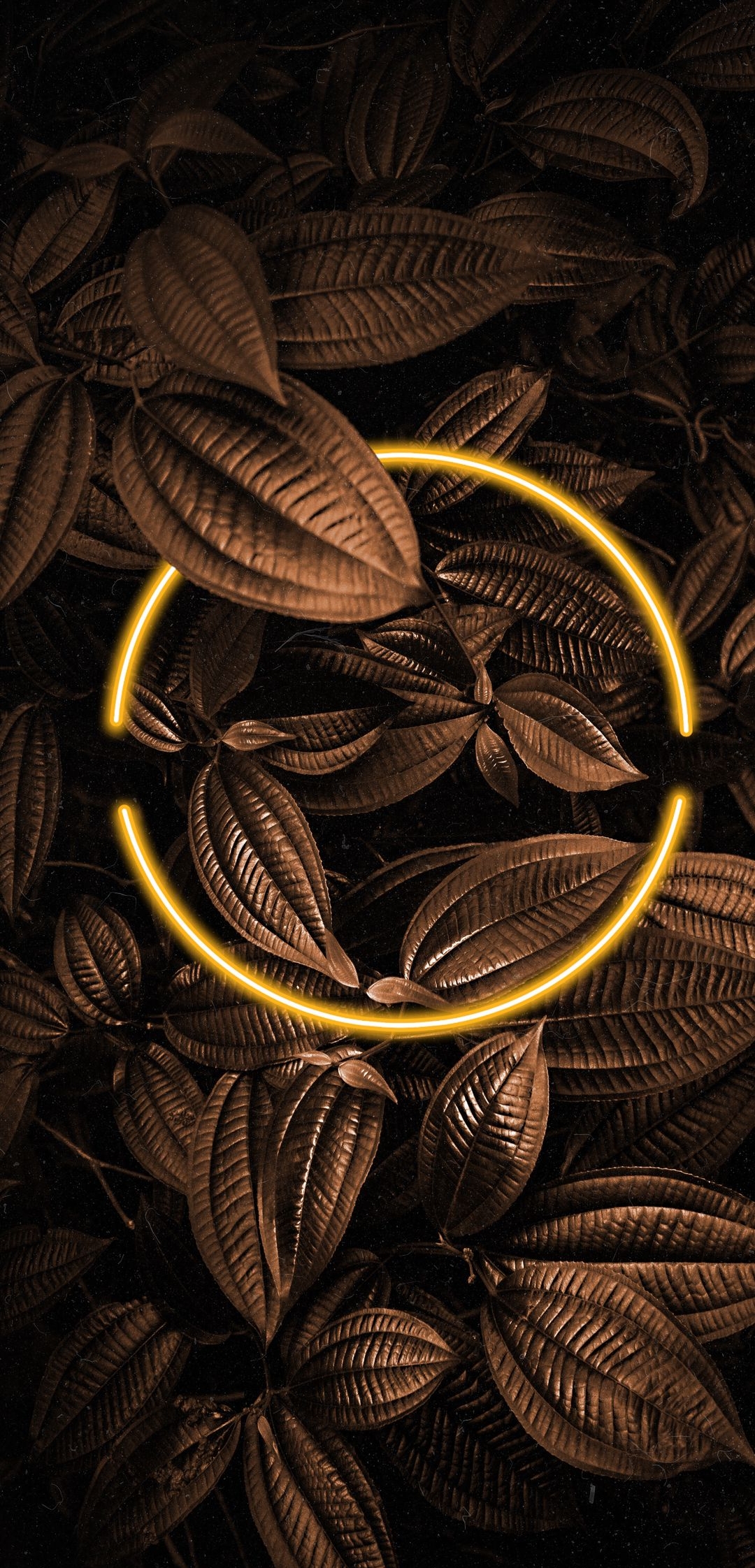 Nature Leaf Light 3d HD