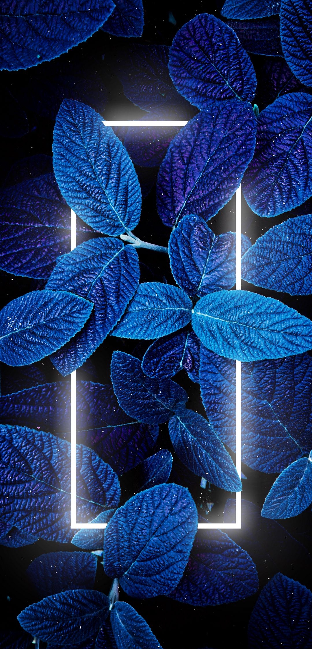 Nature Leaf Light 3d HD