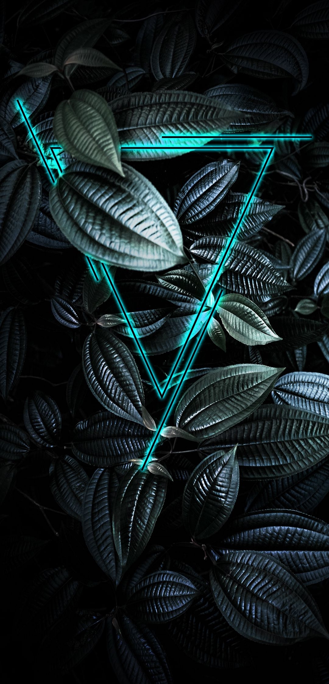 Nature Leaf Light 3d HD