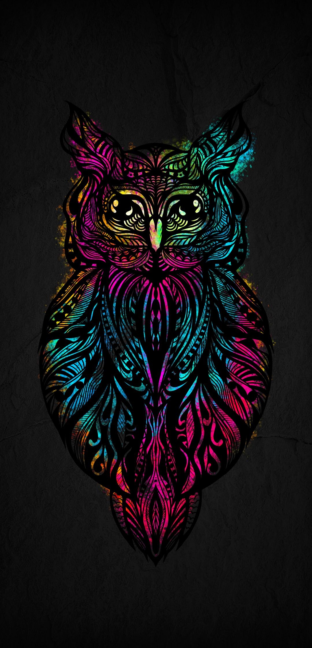 Owl Animal Wildlife HD