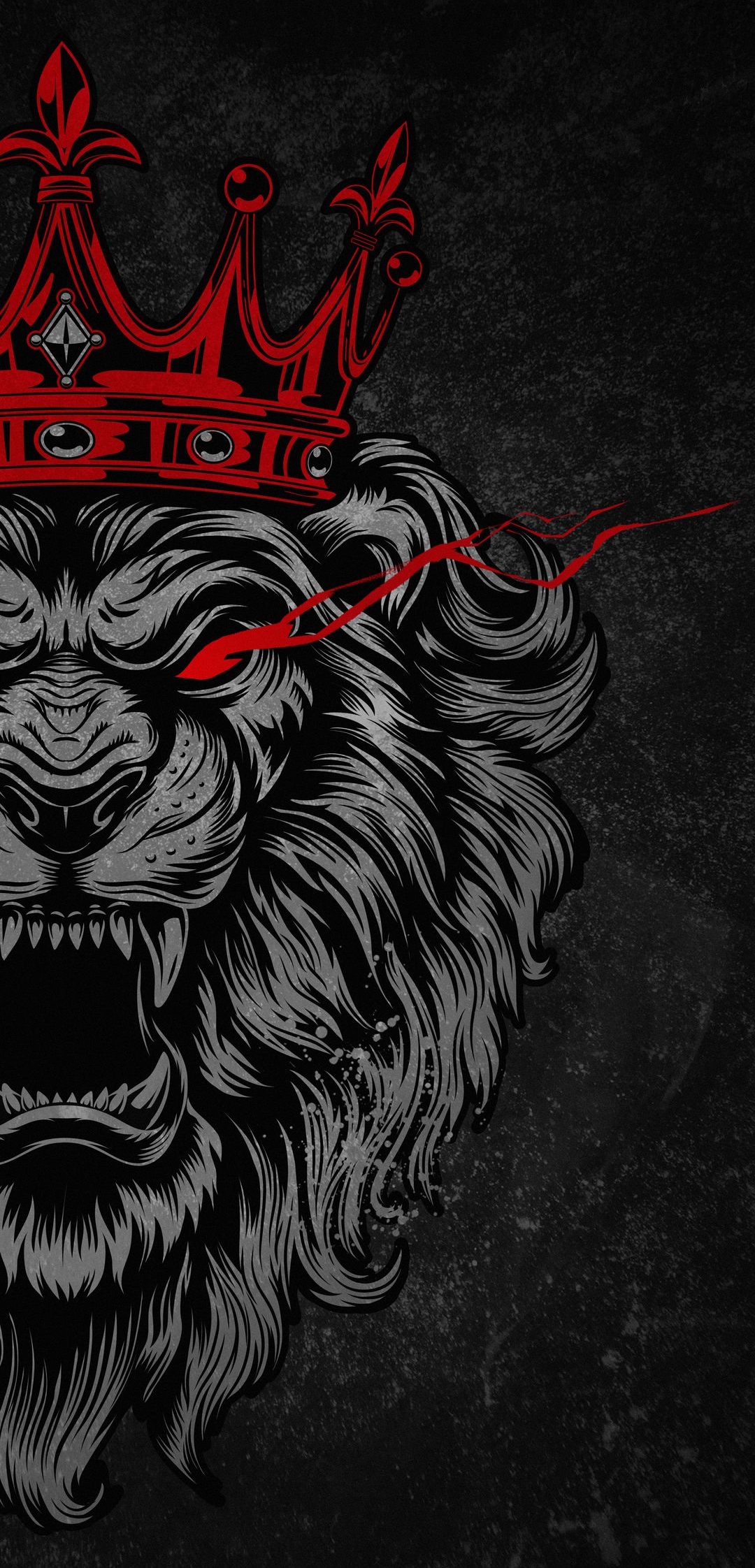 Wildlife Lion Animal HD