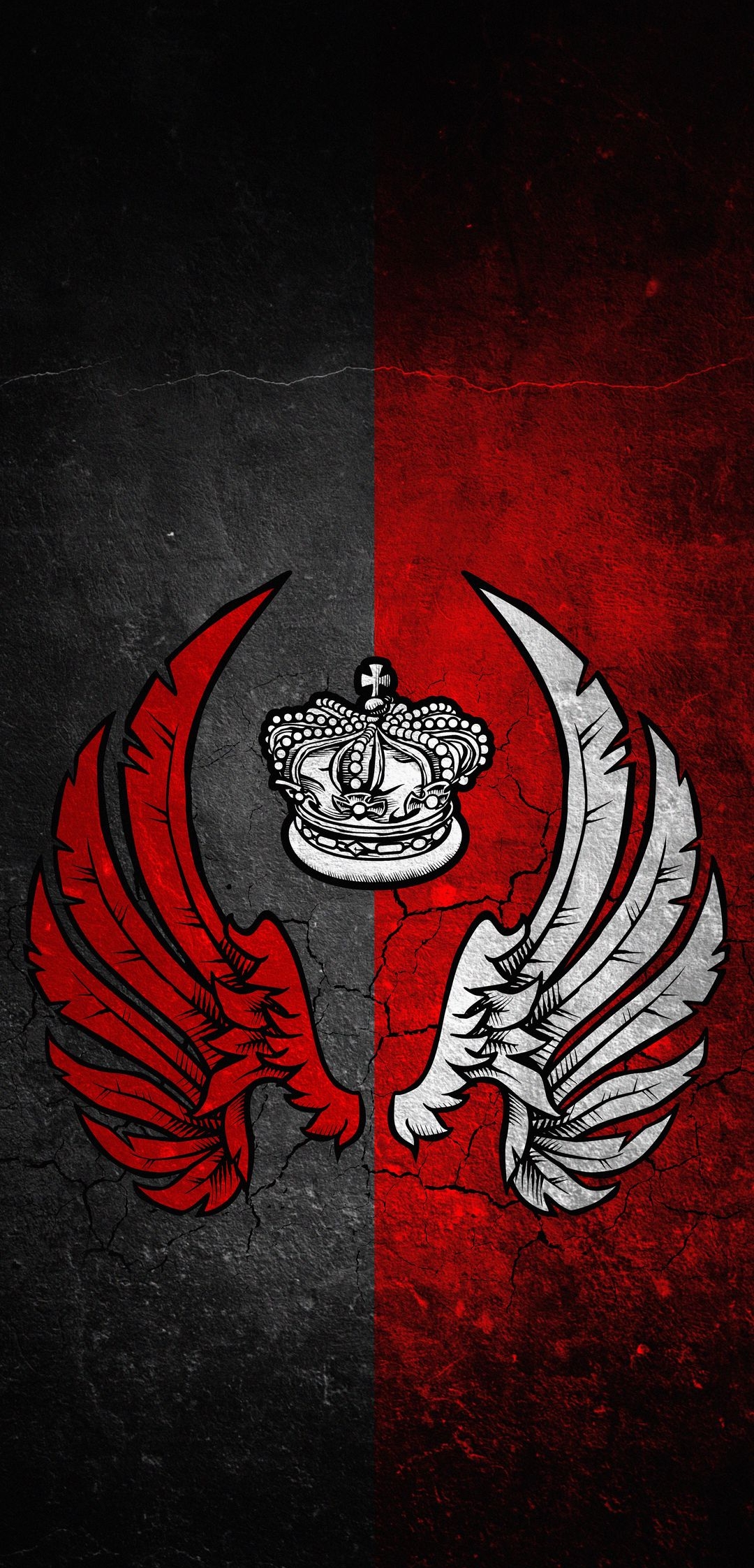 Wings Angel Others HD