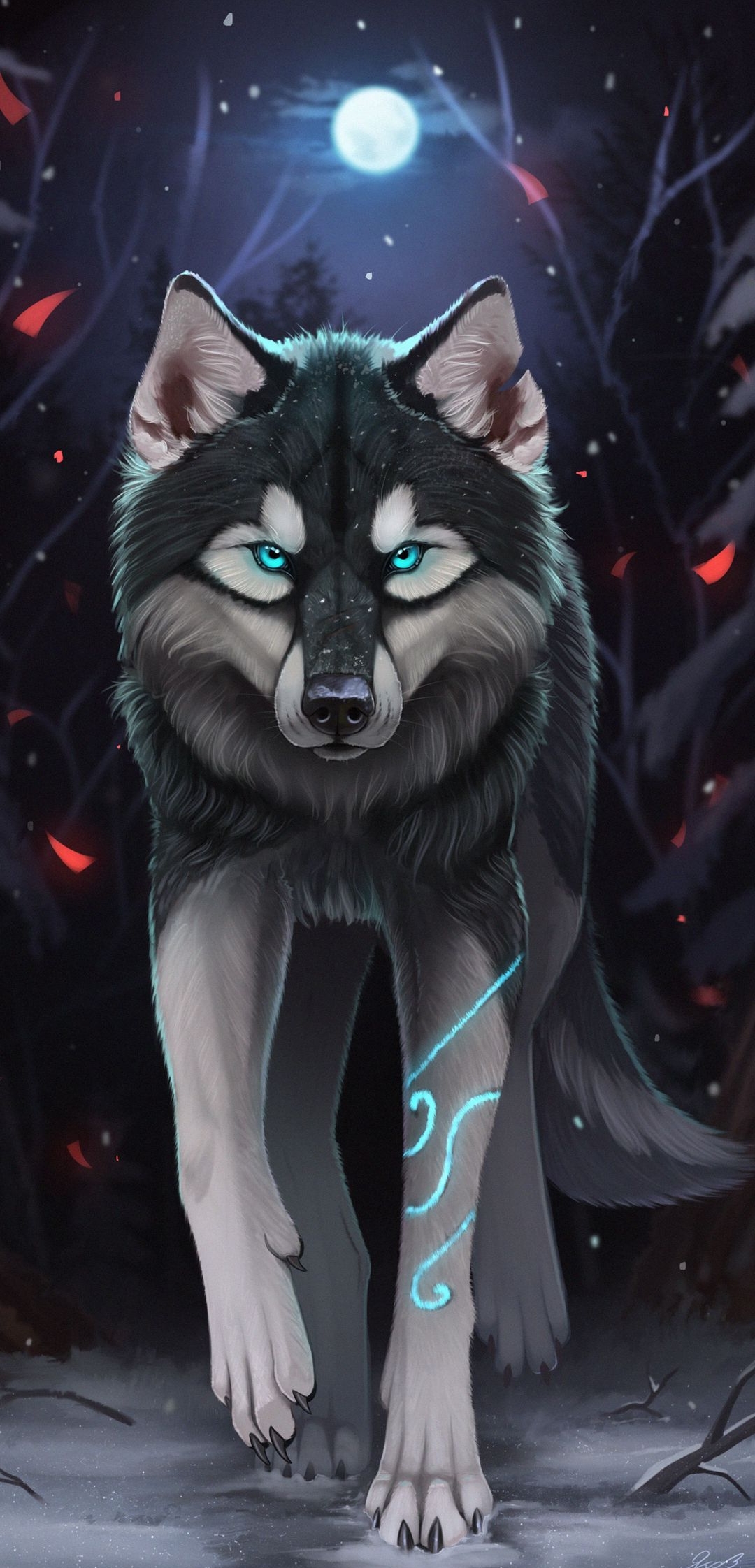 Wolf Wildlife Animal HD