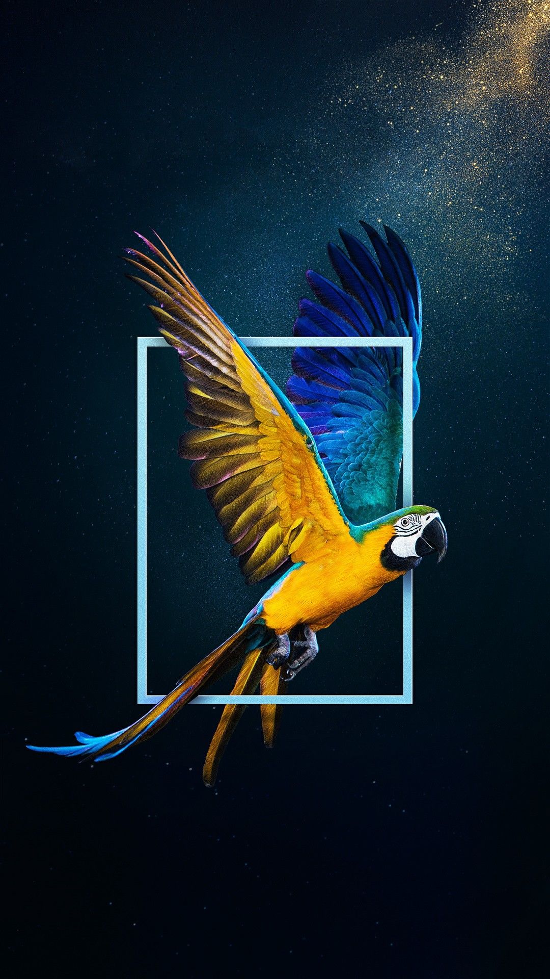 Parrot Birds HD